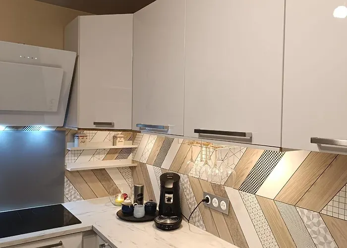 Loft Moderne A Reims